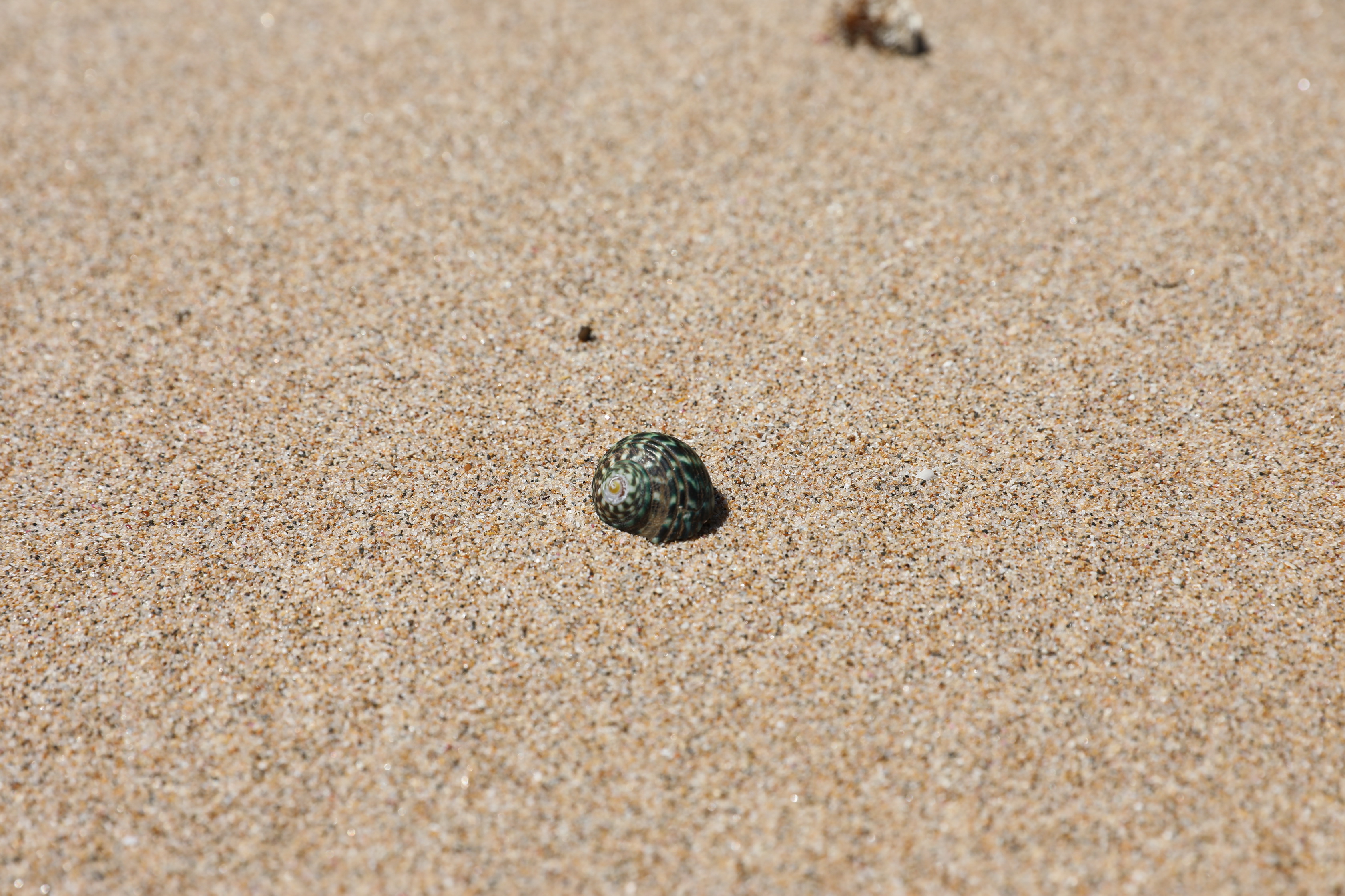 2019 12 19 15 11 49 Canon EOS 5D Mark IV 0052